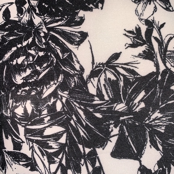 SLNY SL New York sleeveless sheath, cream, black roses, laser cut trim. 8 EUC - Picture 9 of 17